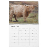 Scottish Highland Cattle Kalender (Feb 2027)