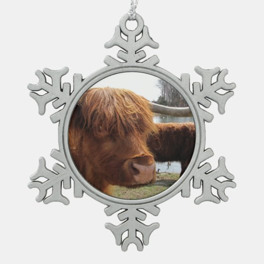 Scottish Highland Cattle ~ Pewter ornament (Voorkant)