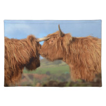 Scottish Highland Cattle