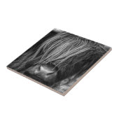 Scottish Highland Cattle - Schotland Tegeltje (Zijkant)