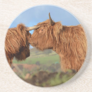 Scottish Highland Cattle Zandsteen Onderzetter