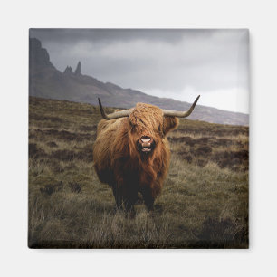 Scottish Highland Cow Fridge Magnet Magneet