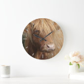 Scottish Highland cow Grote Klok (Huis)