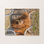 Scottish Highland cow Legpuzzel (Horizontaal)
