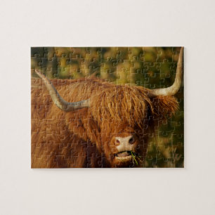 Scottish Highland Cow Legpuzzel