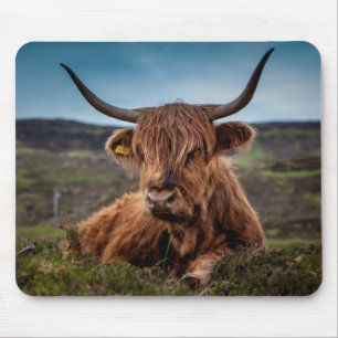 Scottish Highland Cow Longhorn Bull Rancher Muismat