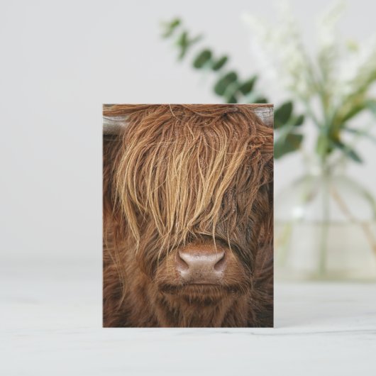 Scottish Highland Cow - Schotland Briefkaart (Staand voorkant)