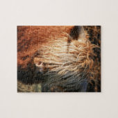 Scottish Highland Cow - Scotland Legpuzzel (Horizontaal)