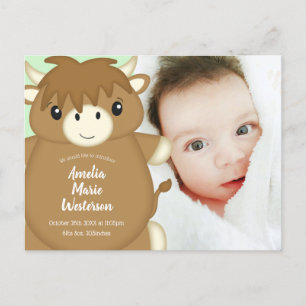 Scottish Highland Koe Baby shower Green Briefkaart