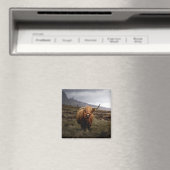 Scottish Highland Koe Fridge Magnet Magneet (Insitu (Vaatwasser))