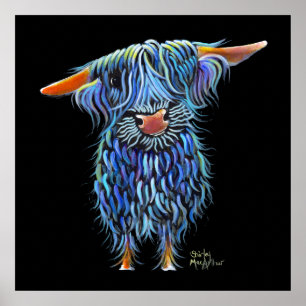 Scottish Highland Koe ' THoMaS ' van Shirley M Poster