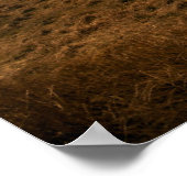 Scottish Highland Landscape Print (Hoek)