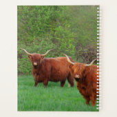 Scottish Highland Steer Planner (Achterkant)