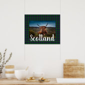 Scottish Highland Steer Poster (Keuken)