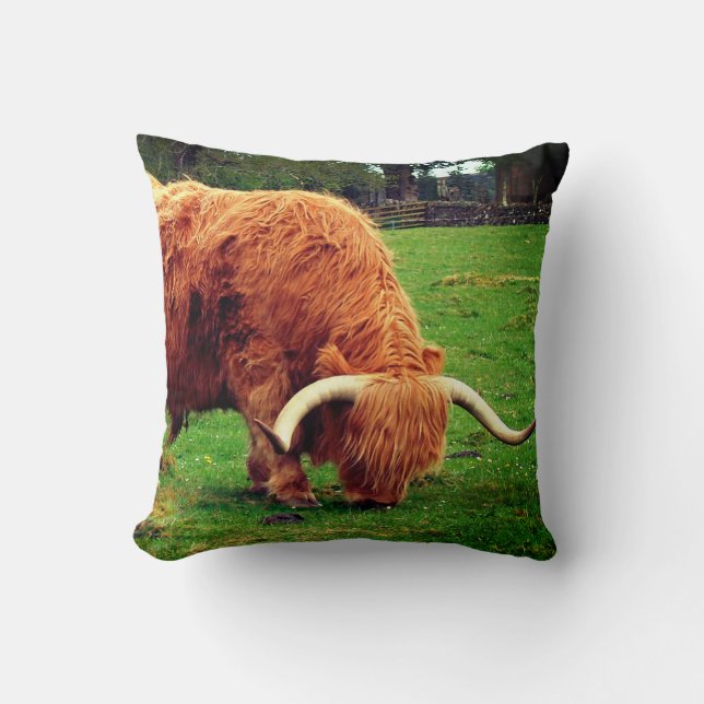 Scottish Highlander Cow Kussen (Voorkant)