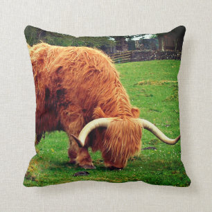 Scottish Highlander Cow Kussen