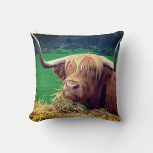 Scottish Highlander Koe Kussen