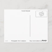 Scottish Pipeband Briefkaart (Achterkant)