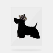 Scottish Terrier (Recto)