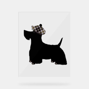 Scottish Terrier