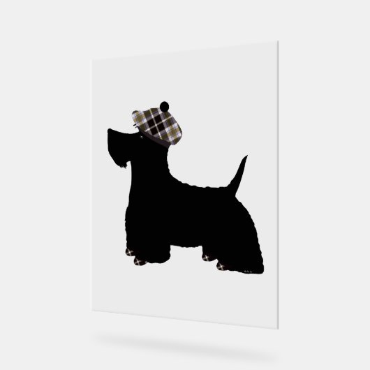 Scottish Terrier (Angle)