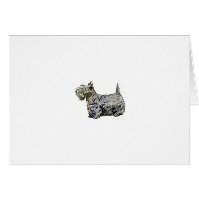 Scottish Terrier (Voorkant Horizontaal)