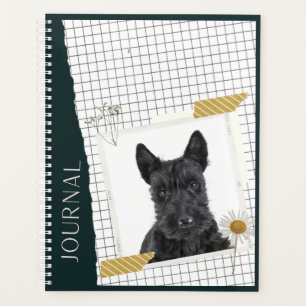 Scottish terrier