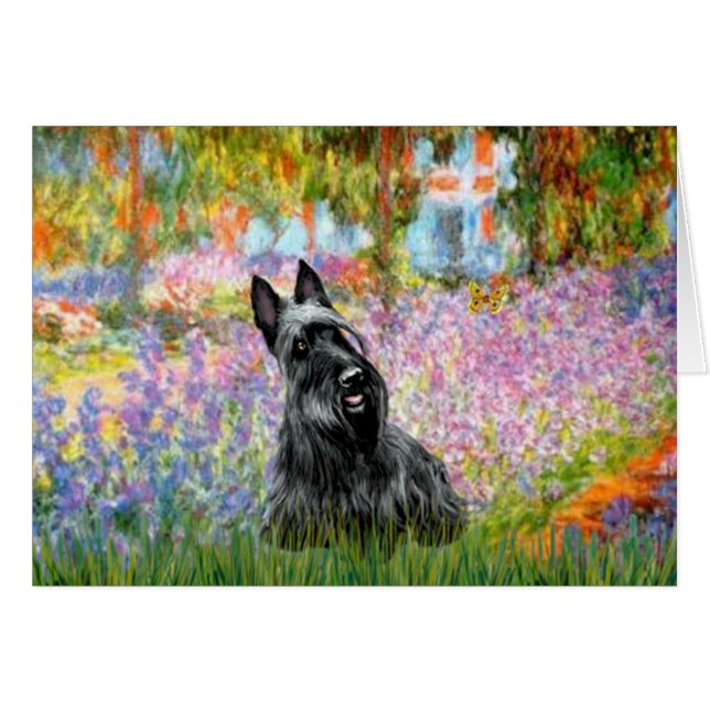 Scottish Terrier 2 - Garden (Devant horizontal)