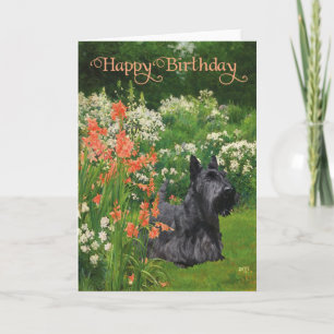Scottish Terrier Birthday Kaart