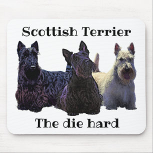 Scottish Terrier black/piepende trio, zwarte hond Muismat