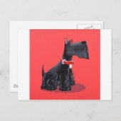 Scottish Terrier Briefkaart (Voorkant / Achterkant)