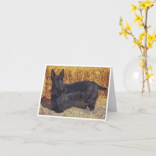 Scottish Terrier, carte de note (Fleur jaune)
