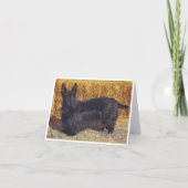 Scottish Terrier, carte de note (Devant)