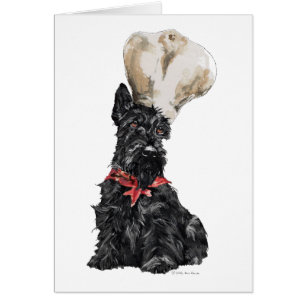 Scottish Terrier Chef