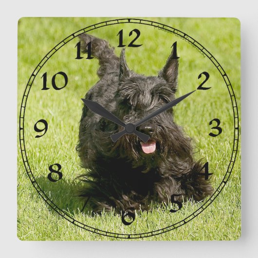 Scottish Terrier Clock Vierkante Klok (Voorkant)