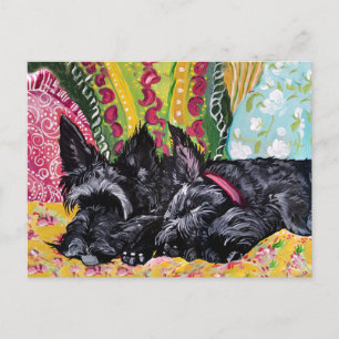 Scottish Terrier Cottage Briefkaart