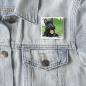 Scottish Terrier Dog Button (In situ)