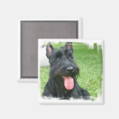 Scottish Terrier Dog Magnet (Recto/Verso)