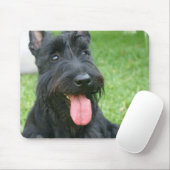 Scottish Terrier Dog Muismat (Met muis)
