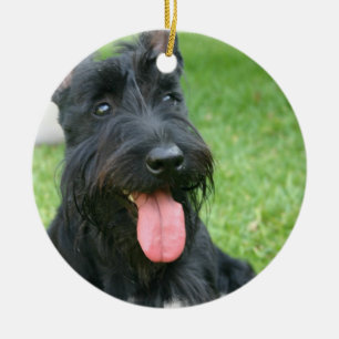 Scottish Terrier Dog Ornament
