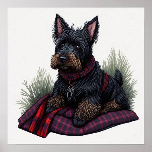 Scottish Terrier Dog Poster (Voorkant)
