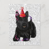 Scottish Terrier en Party Pet