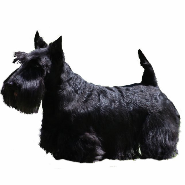 Scottish Terrier Fotobeeldje Ornament (Voorkant)