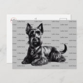 Scottish Terrier in Briefkaart (Voorkant / Achterkant)