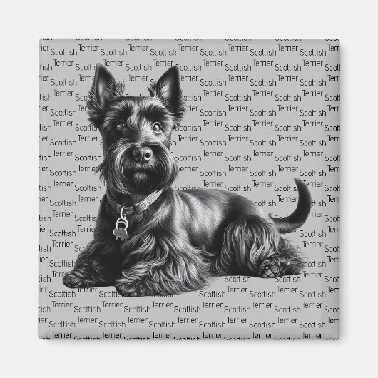 Scottish Terrier in Magneet (Voorkant)