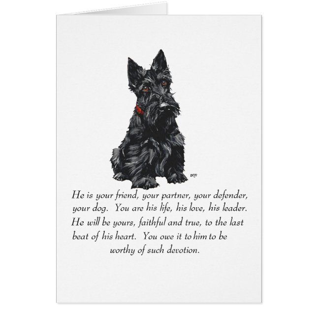 Scottish Terrier Keepomwille (Voorkant)