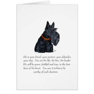 Scottish Terrier Keepomwille