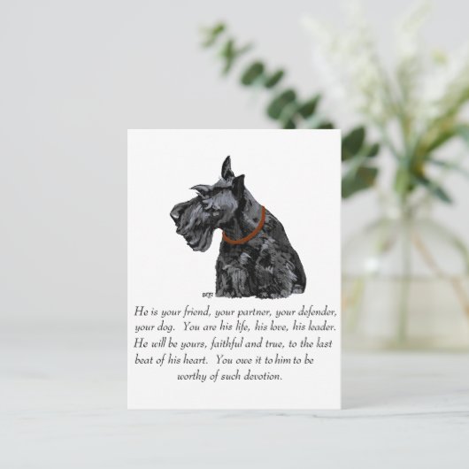 Scottish Terrier Keepomwille - MALE Dog Briefkaart (Staand voorkant)