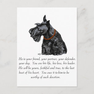 Scottish Terrier Keepomwille - MALE Dog Briefkaart
