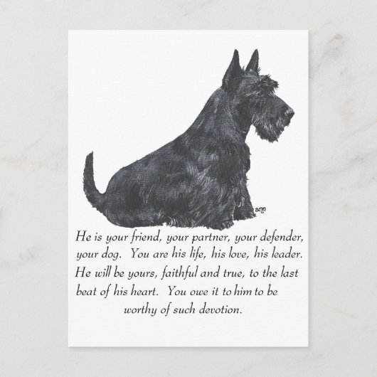 Scottish Terrier Keepomwille - MALE Dog Briefkaart (Voorkant)